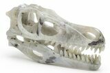 Carved Labradorite Dinosaur Skull #218491-3